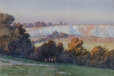 Coulsdon Quarry from Farthing Downs (čb na papíře) od Ethel Hall