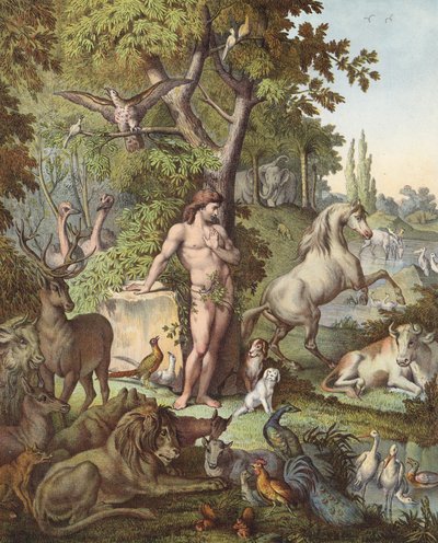 Adam v rajské zahradě (barevná litografie) od Etienne Antoine Eugene Ronjat