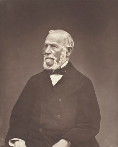 Henri Martin, c. 1876. od Etienne Carjat