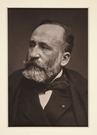 Portrét Pierra Puvis de Chavannes (1824-1898) od Etienne Carjat
