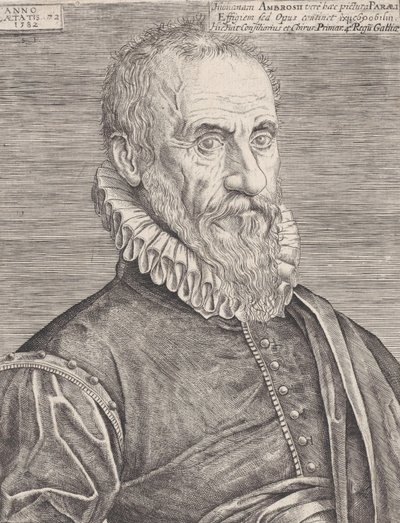 Portrét Ambroise Paré, králova chirurga, 1582. od Etienne Delaune