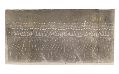 Man Walking, 1882 od Etienne Jules Marey