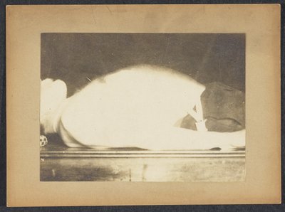 Marey ve studii dýchání od Etienne Jules Marey