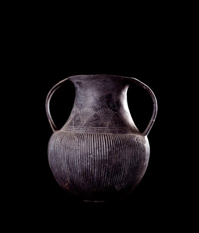 Etruská civilizace: černá bucchero amfora, z Veio, nekropole Monte Michele, Itálie - 7. století př.n.l. od Etruscan