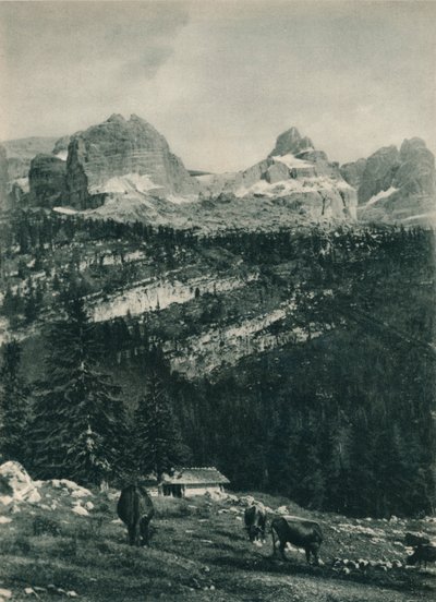 Pohled na skupinu Brenta s alpskou pastvinou, Madonna di Campiglio, Dolomity, Itálie, 1927 od Eugen Poppel