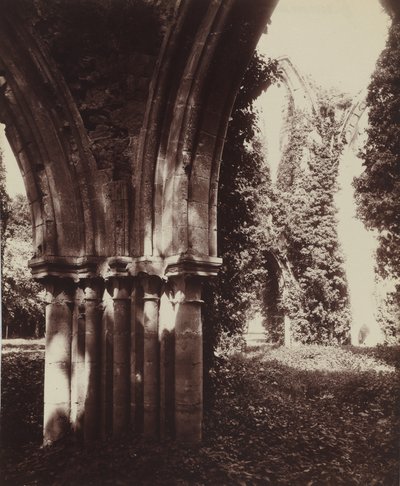Dammarie-les-Lys, zřícenina,1910 (foto) od Eugène Atget