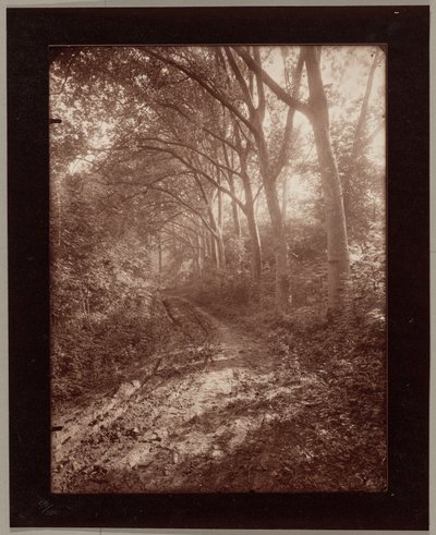  od Eugène Atget