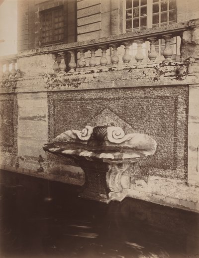 Parc de Sceaux, asi 1857-1927 (foto) od Eugène Atget