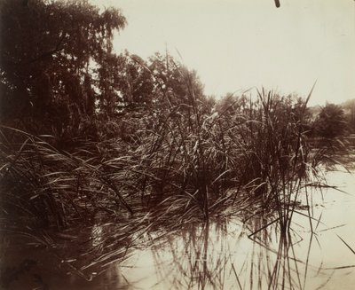  od Eugène Atget