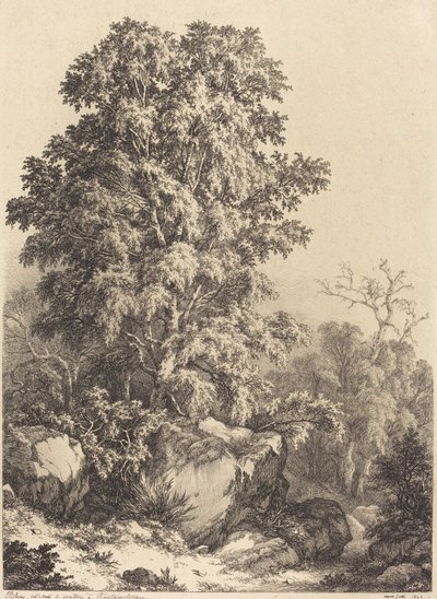 Bukový háj, 1840. od Eugene Bléry