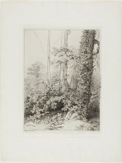 Bramble a Ivy od Eugene Bléry