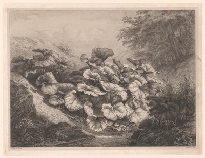 Groot hoefblad Velké podběle Vier grote plant soorten (název série) Čtyři velké rostliny (název série) od Eugene Bléry