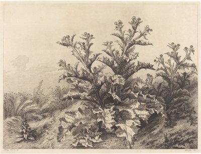 Velký bodlák, 1843. od Eugene Bléry