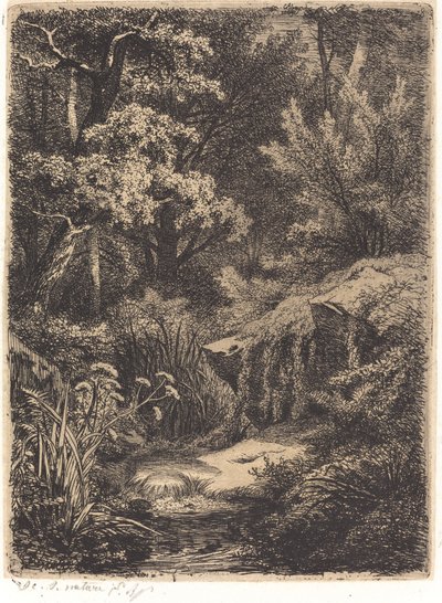 Le petit ruisseau (Malý potok) od Eugene Bléry