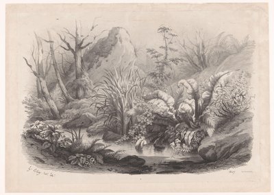 Oeverplanten bij een beek Diverse planten (název série) Skupiny různých rostlin nakreslené na přírodě a litografované (název série) od Eugene Bléry