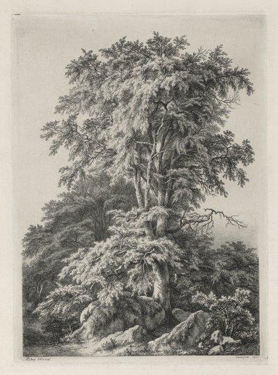 Studie nakreslené a vyryté podle přírody: Pláž, Fontainbleau..., 1840. od Eugene Bléry