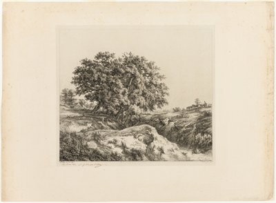 Kytice stromů aneb lípy (Souvenir of the Sarthe) od Eugene Bléry