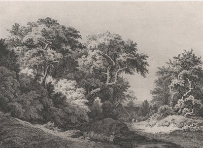 The Edge of the Woods, poblíž Rambouillet, 1860. od Eugene Bléry