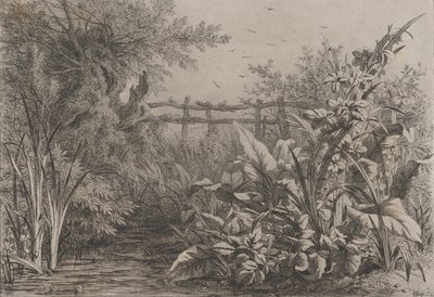 Rybník, 1857. od Eugene Bléry