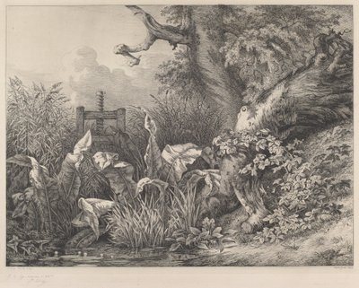 Vodní dok a ostružiní u stavidla, 1843. od Eugene Bléry