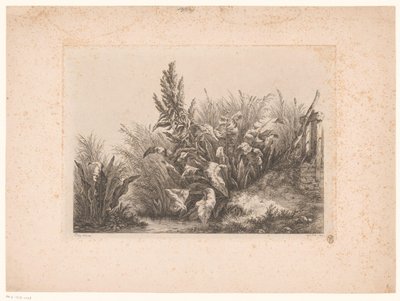 Waterzuring en riet aan de oever Vodní trpělivost u malého ventilu Studie nakreslené a vyryté z přírody (...) (název série) od Eugene Bléry