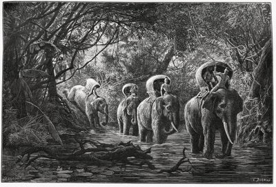 Cestou do lesa putuje výprava na hřbetě slona. Rytina Eugena Burnanda pro ilustraci příběhu „Cesta v Horním Laosu“ z roku 1880 od Dr. P. Neise. Publikováno v Le Tour du monde, nouveau journal des voyages, 2. semestr 18 od Eugene Burnand