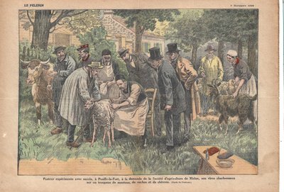 V Pouilly-le-Fort na žádost Zemědělské společnosti Melun Pasteur úspěšně otestoval svůj virus antraxu na stádu ovcí, krav a koz., Le Pèlerin, 5.11.1922 (tisk) od Eugene Damblans