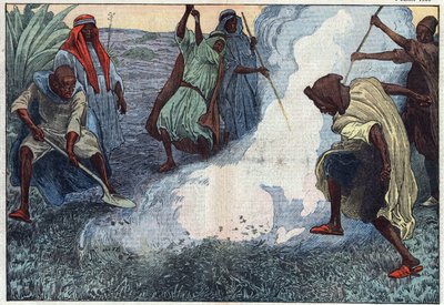 Likvidace kobylek v Alžírsku: Arabové je upalují uprostřed křiku a klikání. Ilustrace Damblans. V „“Le Pelerin““ ze 4. července od Eugene Damblans