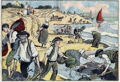 Obyvatelé pobřeží Thouais sklízejí mušle. Kernevel, Finistere (29), Bretaň. Ilustrace Damblans. V „Le Pelerin“ z 31. srpna od Eugene Damblans