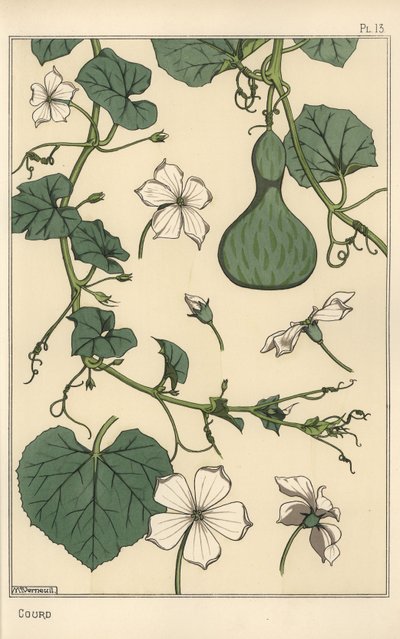 Botanická ilustrace tykve od Eugene Grasset