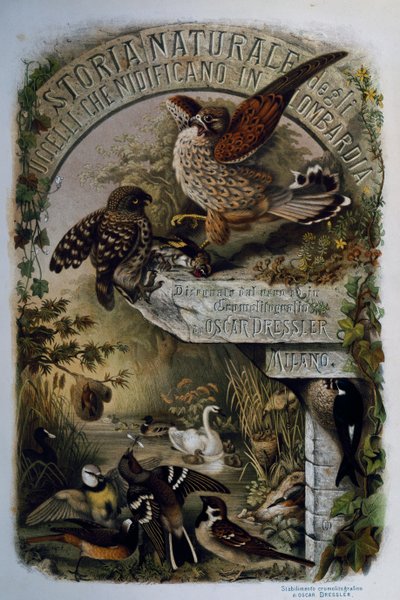 Titulní strana Přírodní historie ptáků, kteří hnízdí v Lombardii, Eugenio Bettoni (1845-1898), rytina Oscar Dressler, Itálie od Eugenio Bettoni, Oscar Dressler
