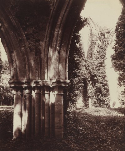 Dammarie-les-Lys, ruiny od Eugène Atget