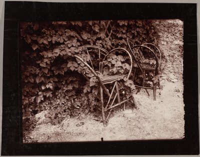 Chmel od Eugène Atget