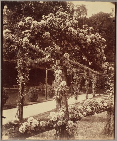 [Jardin de Bagatelle] od Eugène Atget