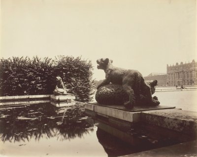 Versailles, Fontaine du Point du Jour, Tygr zabíjející medvěda od Houzeau, 1903. od Eugène Atget