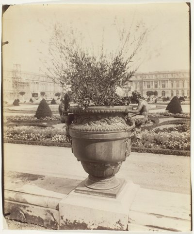 Versailles, Váza od Ballina, 1902. od Eugène Atget