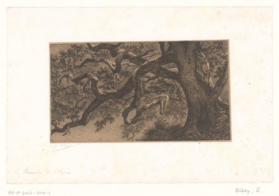 Kastanjetakken Dubové větve (název na objektu) Malé výhledy na les Fontainebleau (název série) od Eugène Bléry (signed by artist)