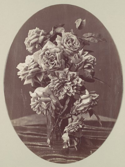 [Růže], ca. 1875. od Eugène Chauvigné