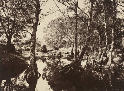 Belle-Croix, 60. léta 19. století. od Eugène Cuvelier