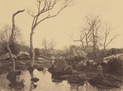 Krásný kříž, c. 1858. od Eugène Cuvelier
