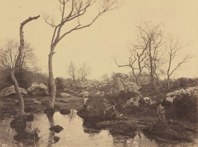 Belle Croix, asi 1858 (foto) od Eugène Cuvelier
