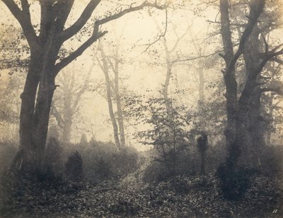 [Fontainebleau Forest], počátek 60. let 19. století. od Eugène Cuvelier