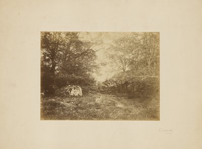[Krajinářská studie] od Eugène Cuvelier