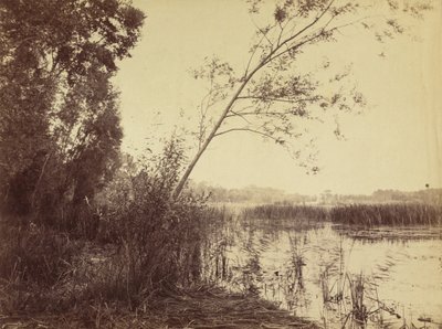 Marais de Fampoux, počátek 60. let 19. století. od Eugène Cuvelier