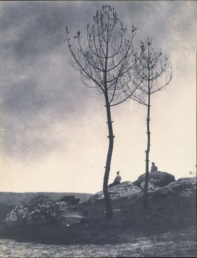 Blízko jeskyně, Burnt Ground, počátek 60. let 19. století. od Eugène Cuvelier