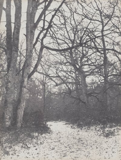 Cesta v lese, 1860-1863. od Eugène Cuvelier