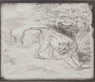 Uvězněný tygr od Eugène Delacroix
