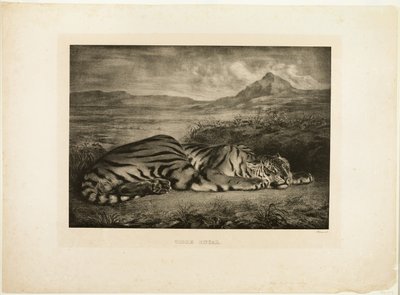 Bengálský tygr od Eugène Delacroix