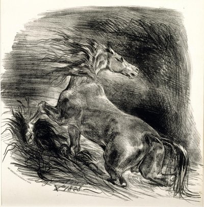 Divoký kůň od Ferdinand Victor Eugene Delacroix