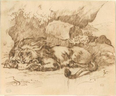 Lev požírající králíka od Eugène Delacroix